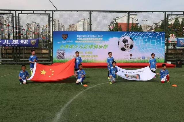 反手稳定的 反手稳定的